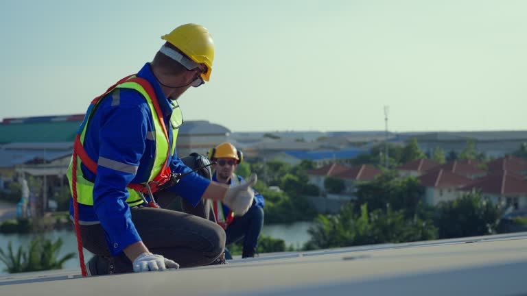 Best Roof Maintenance and Cleaning  in Robstown, TX